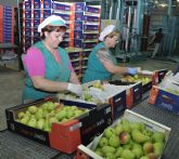 Fecoam reclama a los gobiernos regional y nacional que se aceleren las devoluciones de IVA para las empresas agroalimentarias