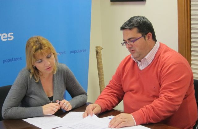 Violante Tomás (PP) se reúne con el presidente de la Federación de Enfermedades Raras para conocer sus propuestas para 2013, Foto 1