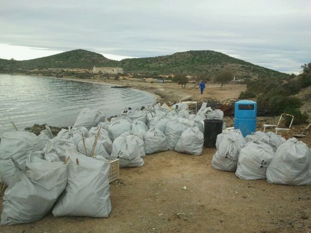 Ayuntamiento y Costas limpian las isla Perdiguera - 1, Foto 1