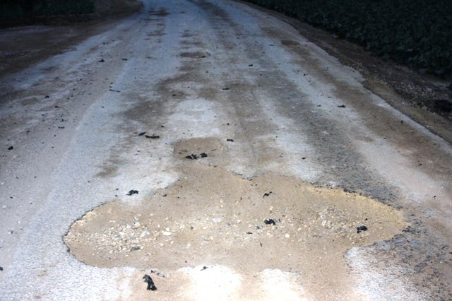 IU denuncia el estado calamitoso y peligroso de los caminos rurales en Totana, Foto 1