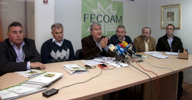 Fecoam calcula más de 82 millones de euros de beneficio en la campaña agraria de 2012 - 3, Foto 3
