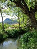 El PSOE pregunta por el plan especial de la Andelma como acequia histórico-tradicional - 1, Foto 1