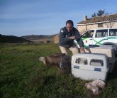 Cinco buitres leonados vuelven a su hábitat natural tras ser liberados en la Sierra de Mojantes