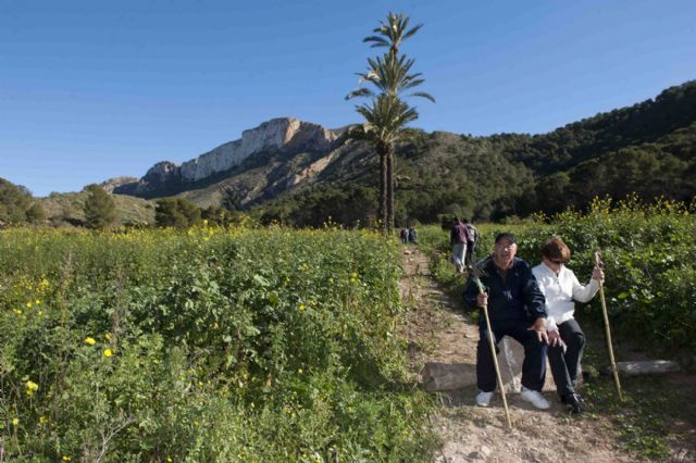 La Virgen de la Luz sacó a los vecinos de Tallante a la calle - 2, Foto 2
