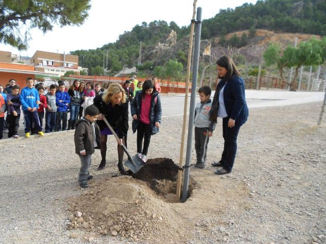 El colegio Antonio Díaz de Los Garres se convierte en Escuela Verde gracias al respeto por el medio ambiente de sus alumnos - 4, Foto 4