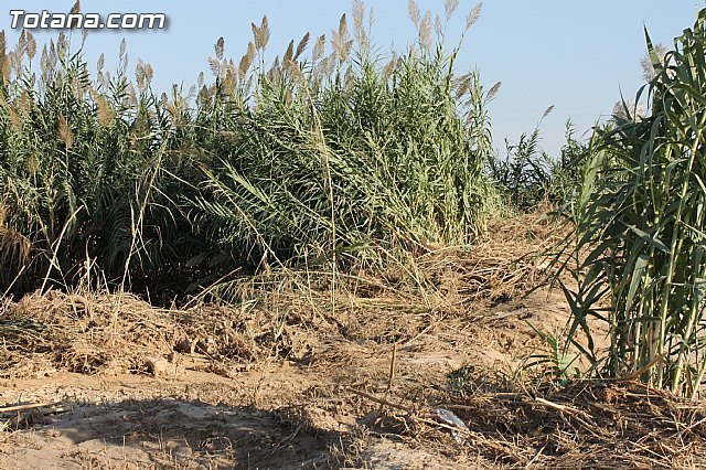 Los damnificados por los daños en explotaciones agrarias y ganaderas a consecuencia del temporal de septiembre tienen de plazo para solicitar ayudas hasta el 27 de febrero - 1, Foto 1