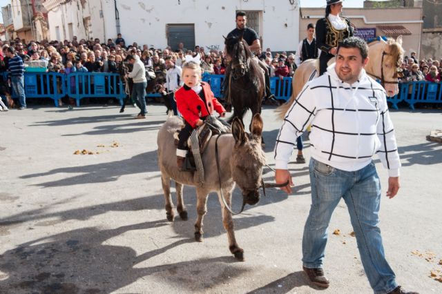 San Antón se viste de gala para bendecir a los animales - 5, Foto 5