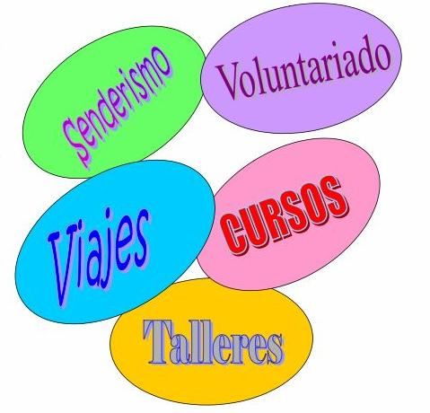 Arrancan los talleres de cocina e informática para mayores - 1, Foto 1