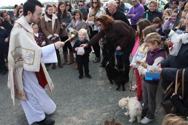 Terminan las fiestas de Santa Rosalía en honor a San Antón 2013 - 3, Foto 3
