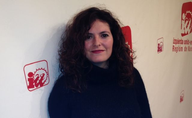 IU-Verdes presentará mociones para garantizar la continuidad del Plan Concertado de Prestaciones Básicas - 1, Foto 1