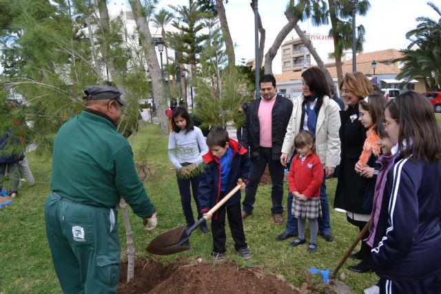 Escolares del municipio ayudan a repoblar la plaza del ayuntamiento con pinos carrasco - 1, Foto 1