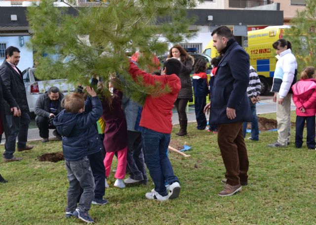 Escolares del municipio ayudan a repoblar la plaza del ayuntamiento con pinos carrasco - 2, Foto 2