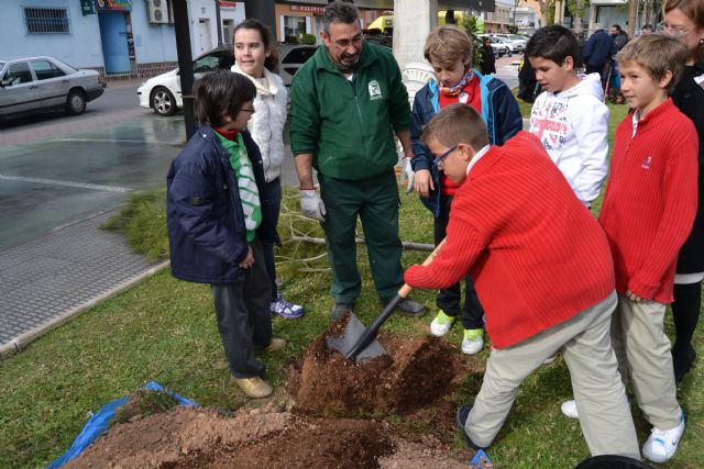 Escolares del municipio ayudan a repoblar la plaza del ayuntamiento con pinos carrasco - 3, Foto 3