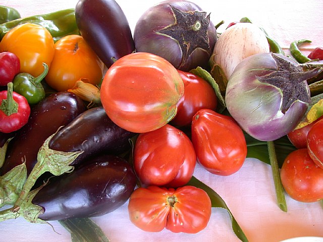 El IMIDA trabaja en el mantenimiento de variedades tradicionales de hortícolas para responder a futuras demandas del mercado - 1, Foto 1