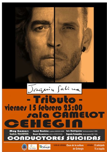 Desfiles, actividades infantiles y concierto en el Carnaval de Cehegín 2013 - 3, Foto 3