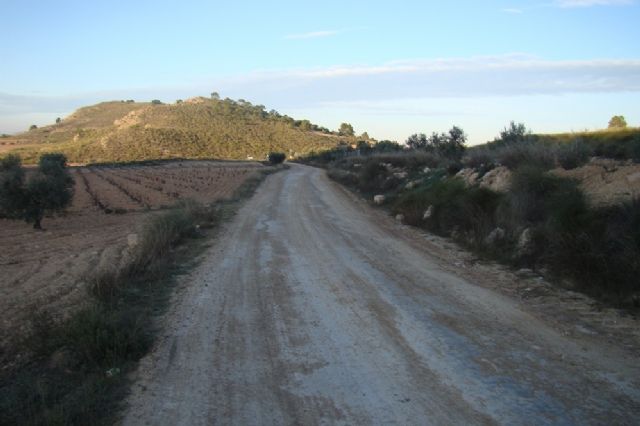 El Concejal de Agricultura informa de las diferentes actuaciones que se están llevando a cabo desde su Concejalía - 3, Foto 3