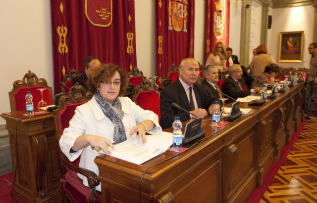 El alumbrado público centra el debate del pleno municipal - 3, Foto 3