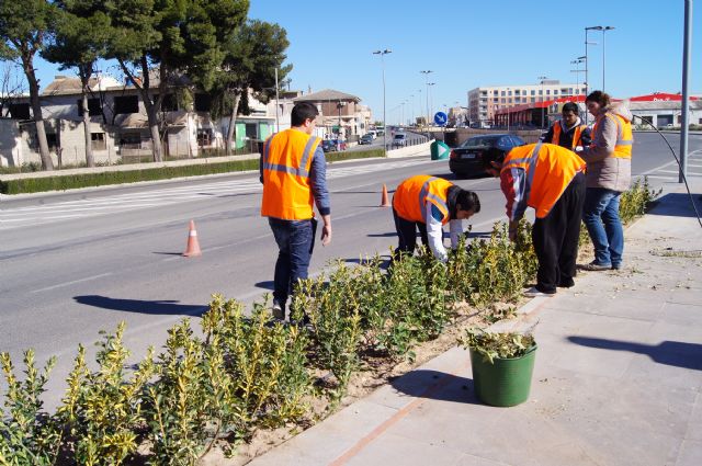 Alumnos del Programa de Cualificación Profesional en jardinería y viveros ya realizan prácticas en los parques públicos y zonas verdes de Totana - 1, Foto 1