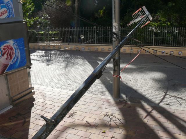 Las fuertes ráfagas de viento provocan la caída de varios árboles en parques de la localidad - 2, Foto 2