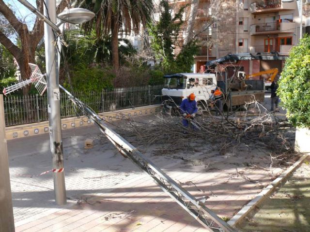 Las fuertes ráfagas de viento provocan la caída de varios árboles en parques de la localidad - 3, Foto 3
