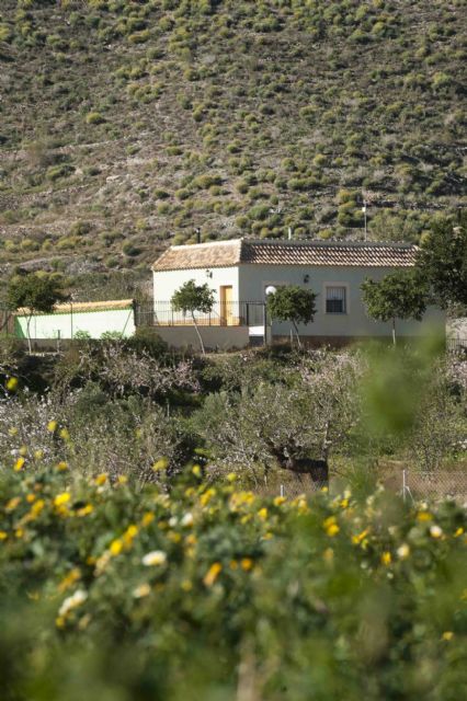 El Campo de Cartagena, destino turístico natural - 2, Foto 2