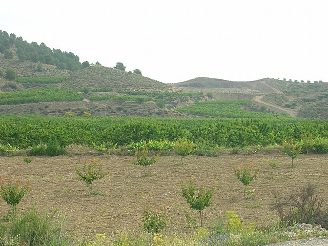 Agricultura informa a la comunidad de regantes ´Embalse del Argos´ de las ventajas de modernizar esta zona regable - 1, Foto 1
