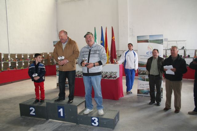 Más de 250 ejemplares participan en el XXVI Concurso de Palomos de la Región de Murcia - 4, Foto 4