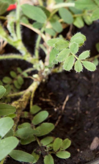 ACETUR promociona el paraje natural del Campo de Cartagena - 2, Foto 2