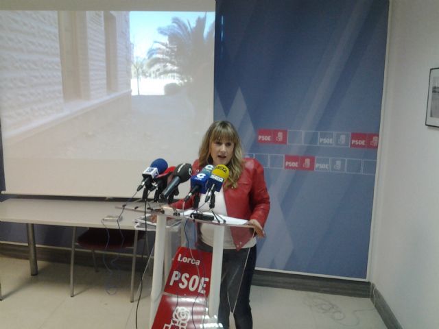 El PSOE denuncia la situación del entorno del campus universitario - 1, Foto 1