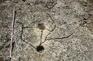 Comienza el ciclo de conferencias: Mirar lo nuestro con ojos propios - 1, Foto 1