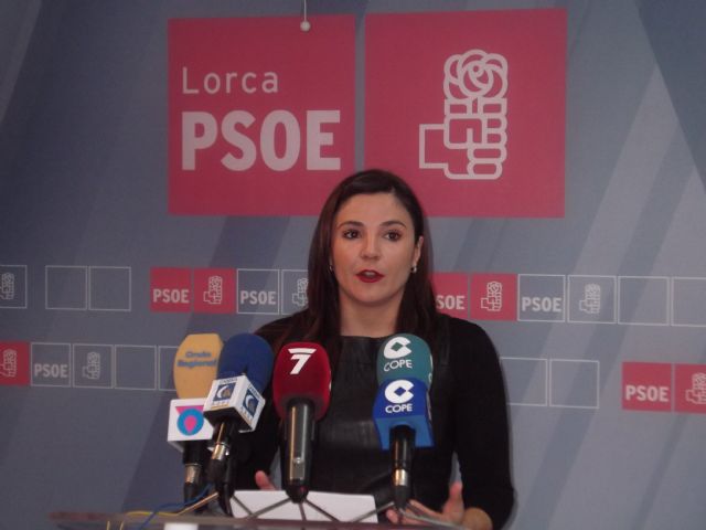 El PSOE presentará en el próximo Pleno una batería de medidas encaminadas al estímulo del empleo - 1, Foto 1