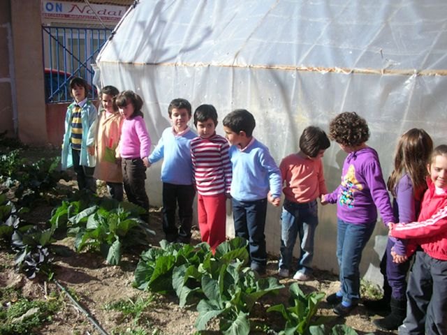 Alumnos de Primaria cultivarán alimentos ecológicos en sus propios ´Huertos Escolares´ - 1, Foto 1