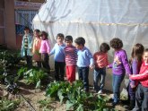 Alumnos de Primaria cultivarn alimentos ecolgicos en sus propios Huertos Escolares