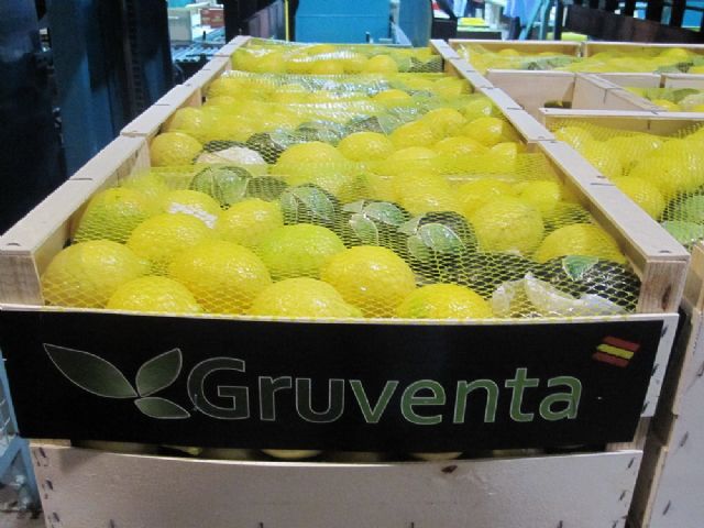 Gruventa a favor de impulsar un Plan de Investigación y Desarrollo en el sector hortofrutícola - 1, Foto 1