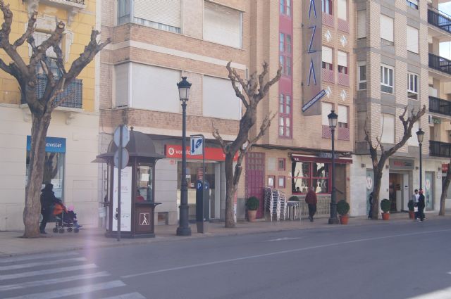 Se van a sustituir los árboles de la Plaza de la Constitución por otros que no produzcan desperfectos en los edificios, subsuelo y viviendas particulares - 2, Foto 2