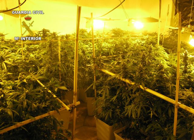 Tres nuevos golpes al tráfico de drogas en las comarcas del Guadalentín - 1, Foto 1