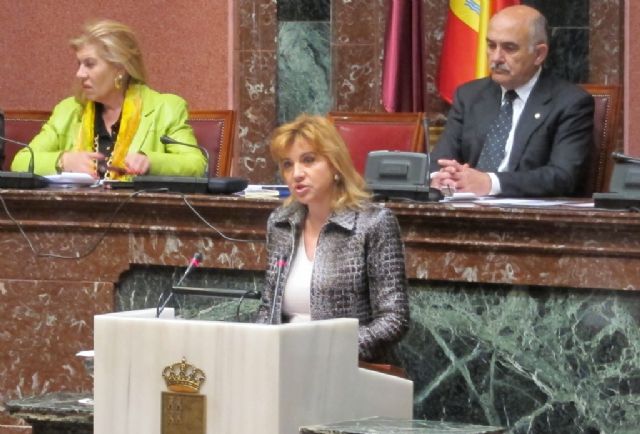 El GPP pide una comisión para mejorar la calidad de vida de las personas con enfermedades raras - 1, Foto 1