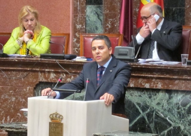 El GPP defiende el arraigo social de los Toros y pide la declaración de Patrimonio Cultural Inmaterial de la Humanidad de la Unesco - 1, Foto 1