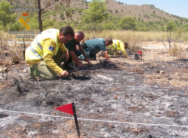La Guardia Civil de Albacete detiene a una persona por un delito de incendio en una zona forestal - 1, Foto 1