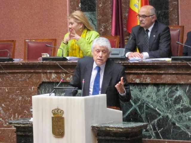 Guillamón: Somos partidarios del soterramiento pero en este momento no hay presupuesto para hacerlo - 1, Foto 1