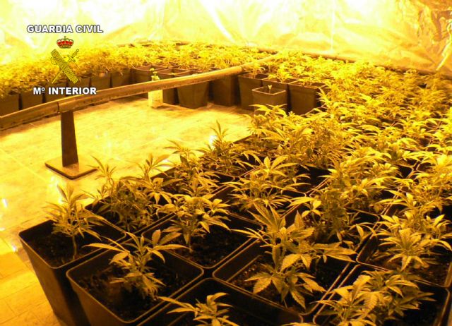 La Guardia Civil desmantela un invernadero subterráneo de marihuana en Sangonera la Seca-Murcia - 2, Foto 2