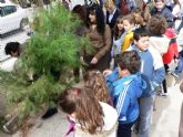 Los colegios de Mazarrón se divierten reforestando los pinos de la campaña de Navidad