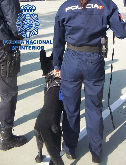 Detenido en El Puntal con un kilogramo de cocaína oculto en su vehículo - 2, Foto 2