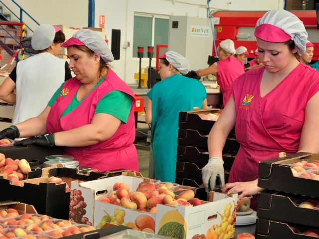 Fecoam reclama con insistencia más agilidad en las devoluciones de IVA para las empresas agroalimentarias - 1, Foto 1