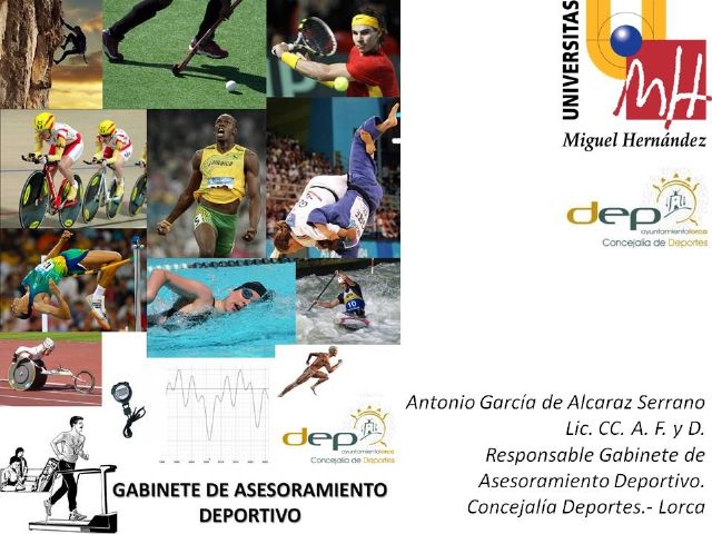 La Concejalía de Deportes participa en unos seminarios de formación organizados por la Universidad Miguel Hernández - 1, Foto 1