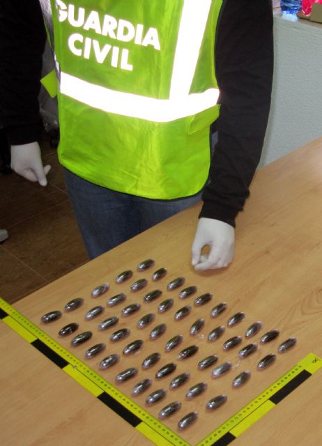 La Guardia Civil detiene in fraganti a un individuo con medio kilo de hachís - 1, Foto 1