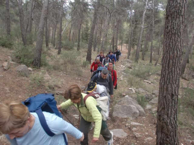 Un total de veintiún senderistas participaron el pasado domingo en una ruta que discurrió por Sierra Espuña, Foto 3