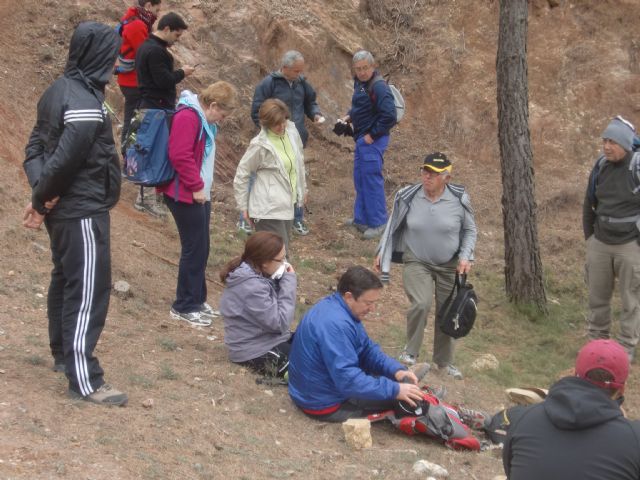 Un total de veintiún senderistas participaron el pasado domingo en una ruta que discurrió por Sierra Espuña, Foto 5