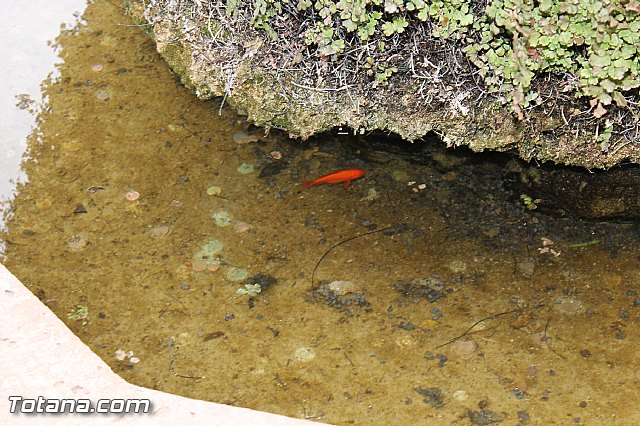 La restauracin de las pinturas en los anexos de La Santa permitirn conocer la entrada primitiva a la gruta que dio origen a la construccin de la ermita - 12