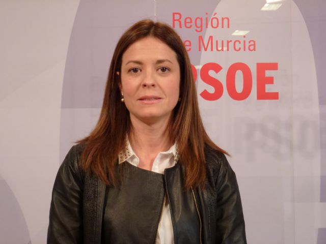 El PSOE acusa a Sotoca de provocar incertidumbre en interinos y opositores - 1, Foto 1